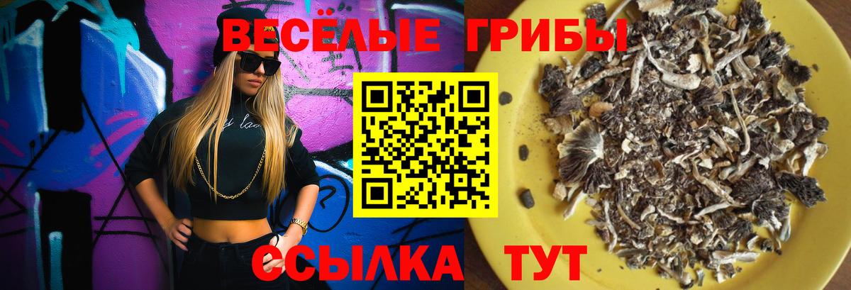 Псилоцибиновые грибы Cubensis  Вход с VPN  Псилоцибиновые грибы Psilocybine cubensis  хочу   Алатырь 
