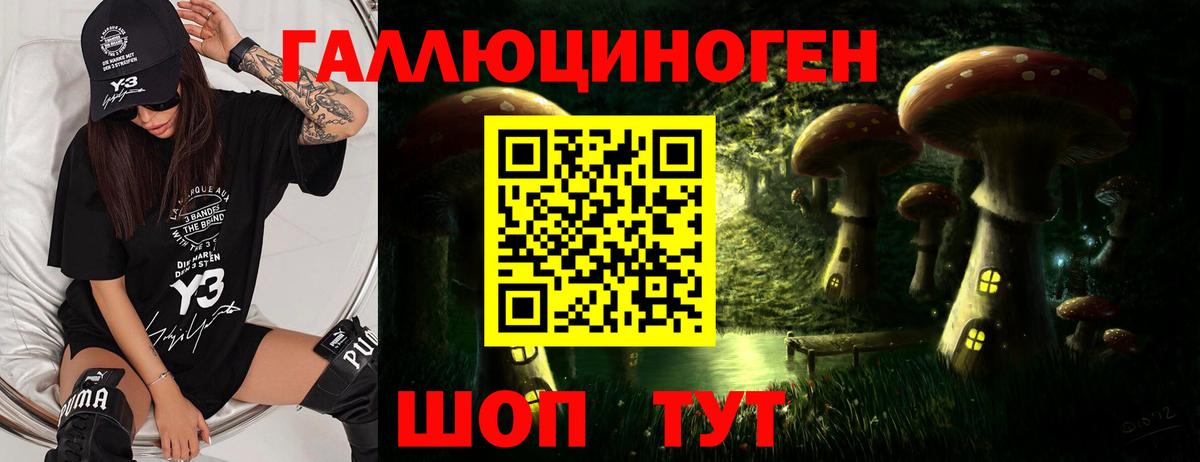 Псилоцибиновые грибы Psilocybine cubensis Алатырь